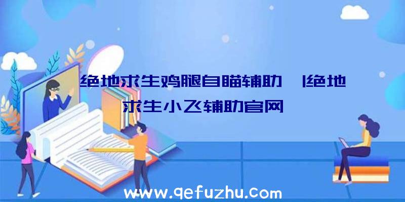 「绝地求生鸡腿自瞄辅助」|绝地求生小飞辅助官网